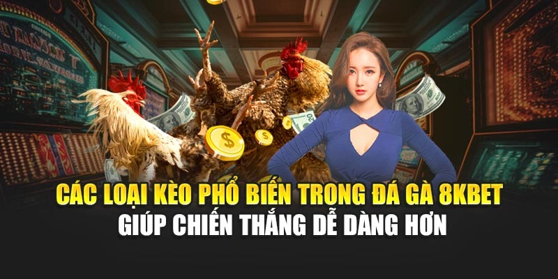 Các loại kèo phổ biến trong đá gà 8KBET giúp chiến thắng dễ dàng hơn