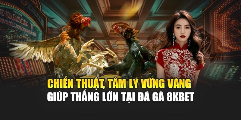 Chiến thuật, tâm lý vững vàng giúp thắng lớn tại đá gà 8KBET