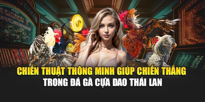 Chiến thuật thông minh giúp chiến thắng trong đá gà cựa dao Thái Lan