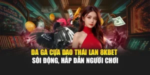 Đá Gà Cựa Dao Thái Lan 8KBET Sôi Động, Hấp Dẫn Người Chơi