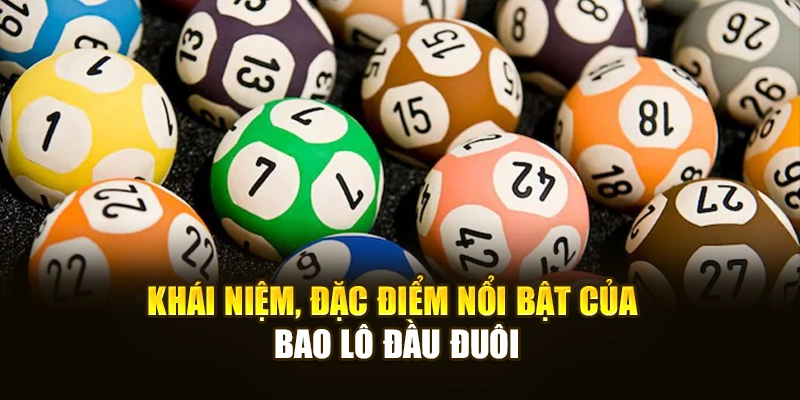 Khái niệm, đặc điểm nổi bật của bao lô đầu đuôi