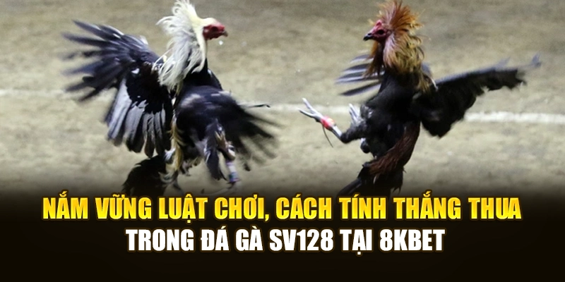 Nắm vững luật chơi, cách tính thắng thua trong đá gà SV128 tại 8KBET