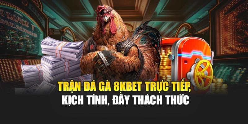 Trận đá gà 8KBET trực tiếp, kịch tính, đầy thách thức