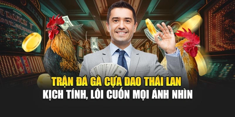 Các Trận đá gà kịch tính, lôi cuốn mọi ánh nhìn