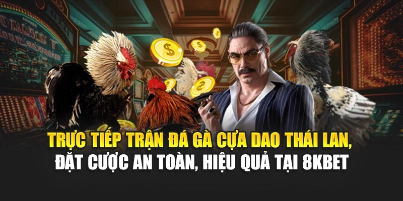 Trực tiếp trận đá gà cựa dao Thái Lan, đặt cược an toàn, hiệu quả tại 8KBET