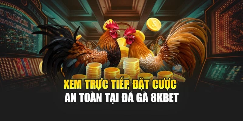Xem trực tiếp, đặt cược an toàn tại đá gà 8KBET